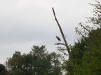 IMG 4584